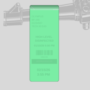 2.2" x 10" Green Hang Tags